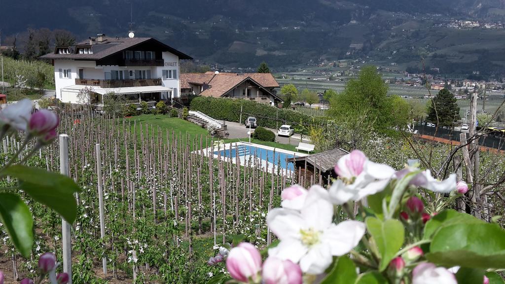 Chalet Anna Marlengo Dış mekan fotoğraf